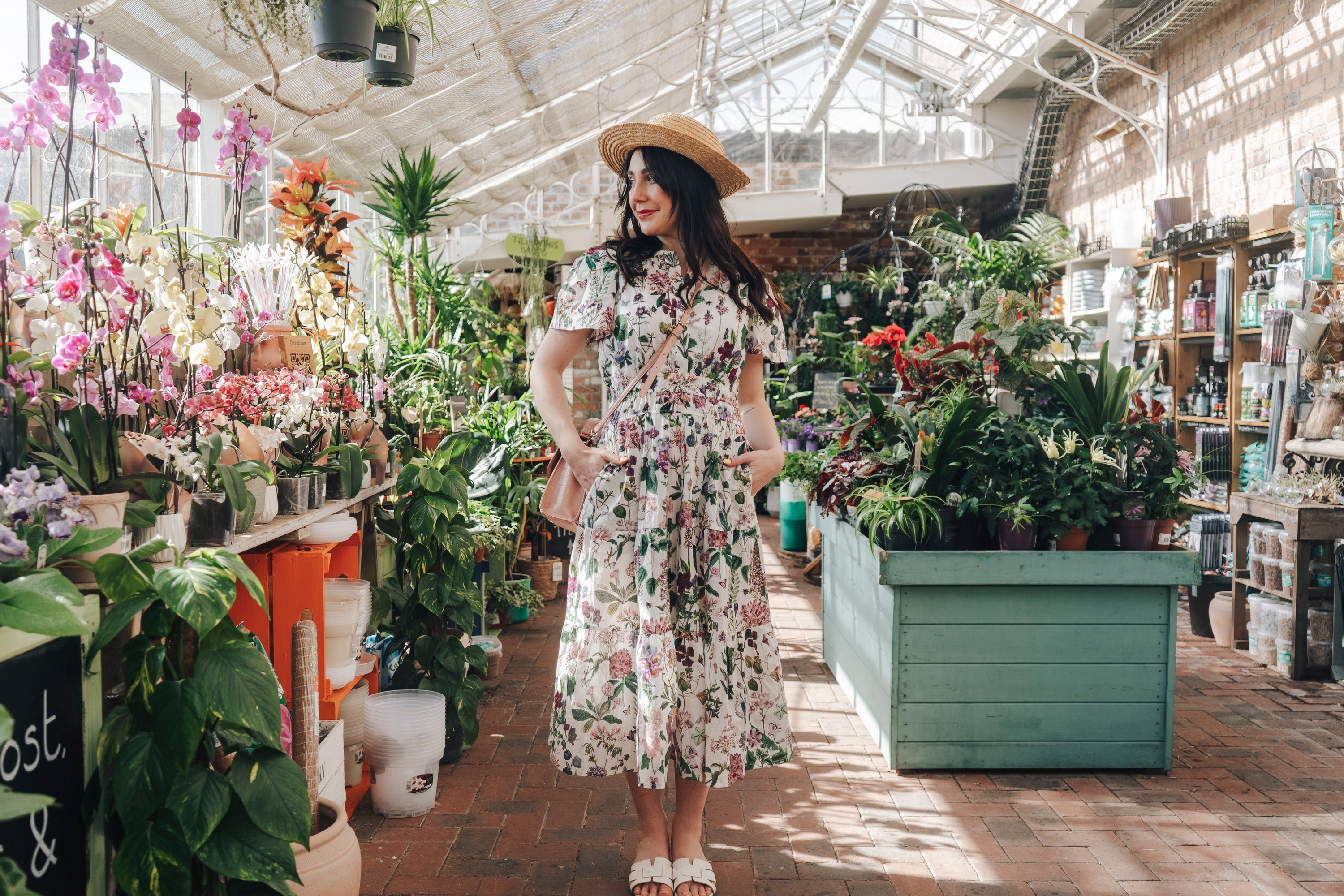 Spring Wonder