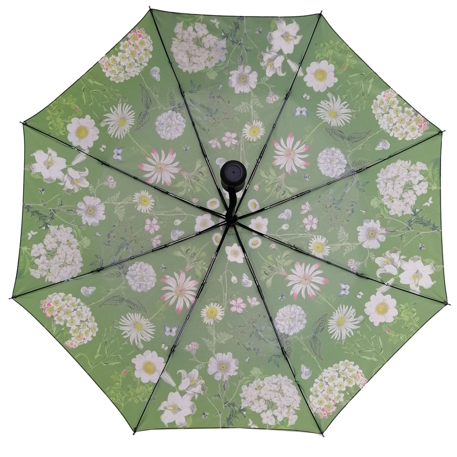 Rosehip Design Folding Umbrella is a sturdy, practical and waterproof rain umbrella with an auto pop-up button, perfectly sized for your car, bag or pocket. Our Heavenly Green design adds a touch of elegance with its verdant floral pattern, bringing a hint of nature&