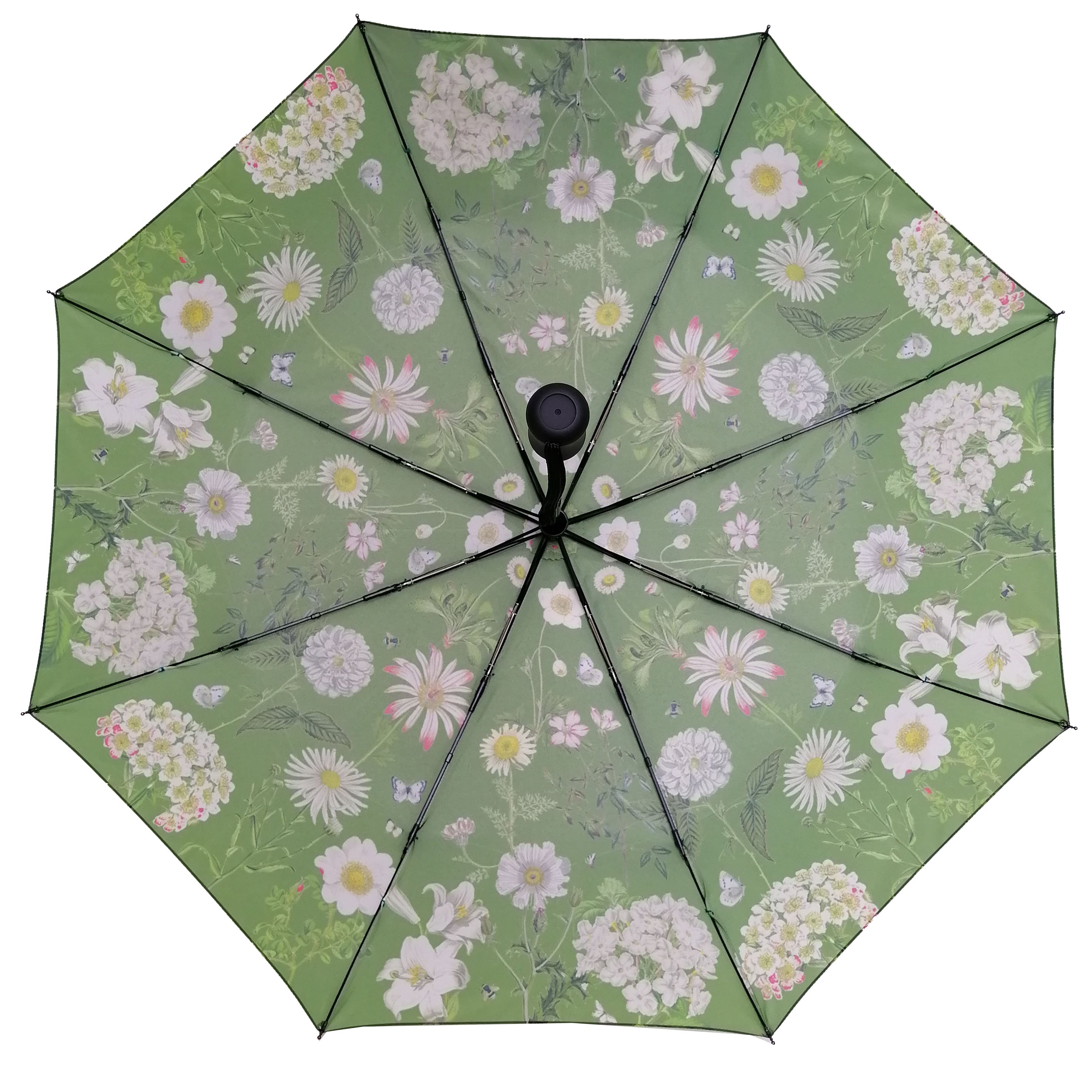 Rosehip Design Folding Umbrella is a sturdy, practical and waterproof rain umbrella with an auto pop-up button, perfectly sized for your car, bag or pocket. Our Heavenly Green design adds a touch of elegance with its verdant floral pattern, bringing a hint of nature&