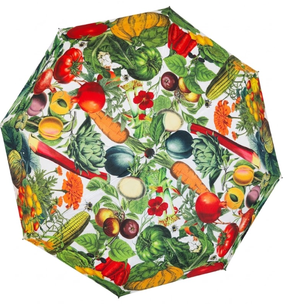 Folding Umbrella - Market Garden