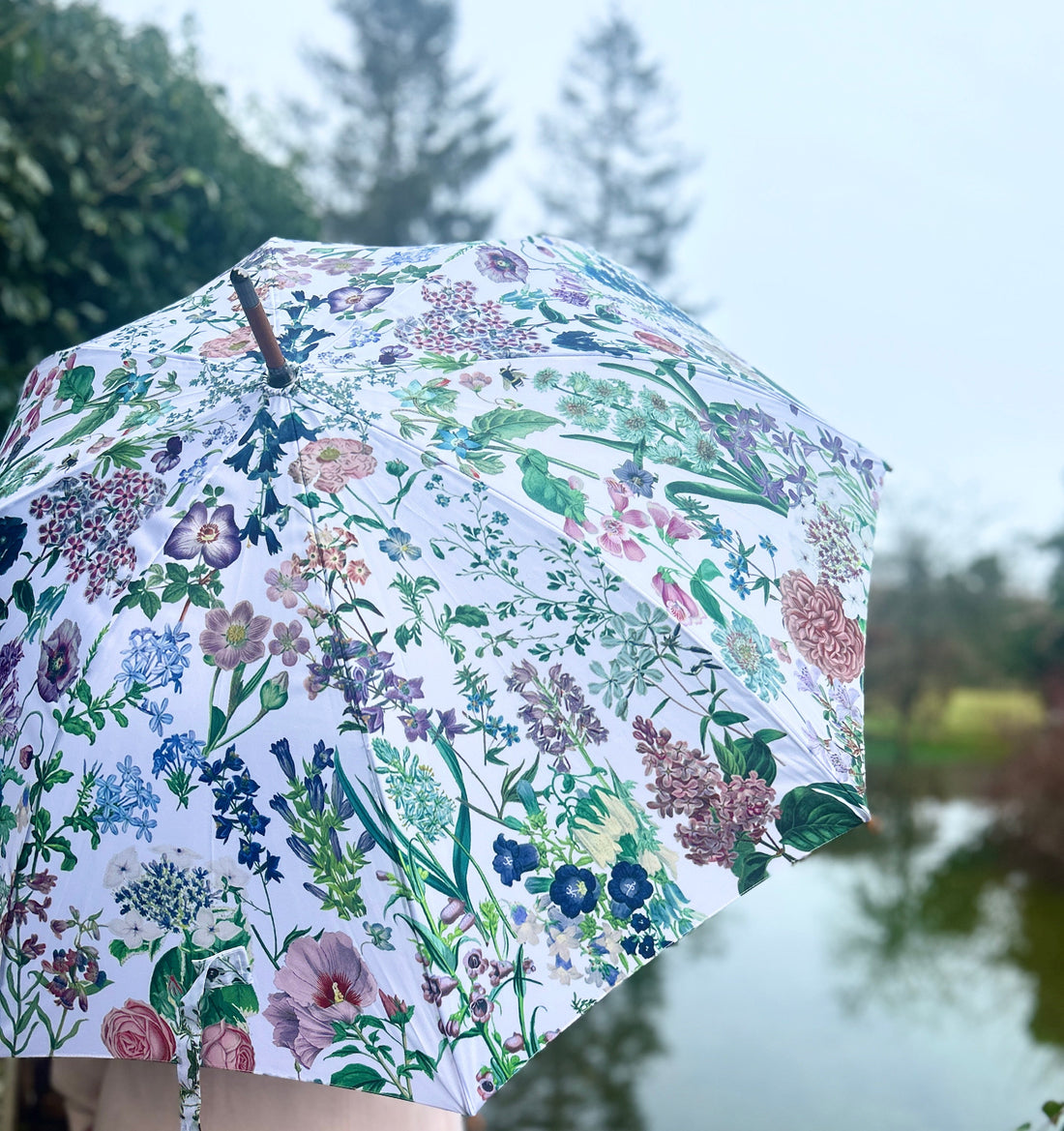 Walking Umbrellas