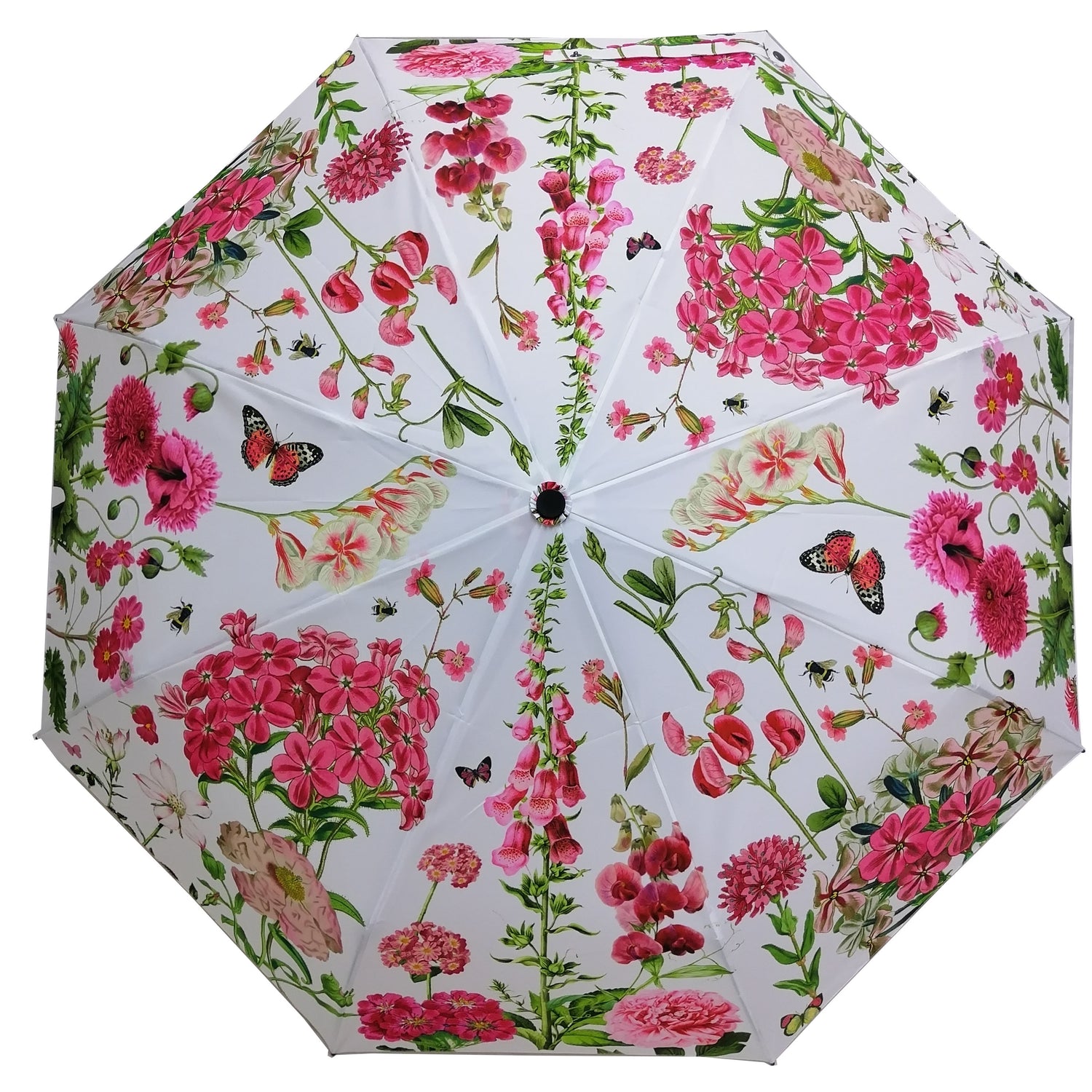 Rosehip Design Folding Umbrella is a sturdy, practical and waterproof rain umbrella with an auto pop-up button, perfectly sized for your car, bag or pocket. Beat the blues with our Sweet Peas design - a vibrant mix of pinks, greens and reds.