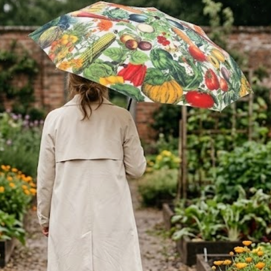 Folding Umbrella - Market Garden