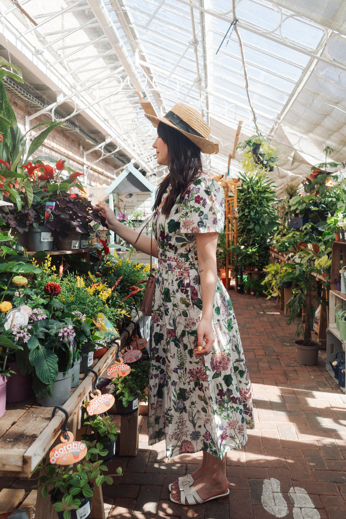 Margot Cotton Dress - Mallow
