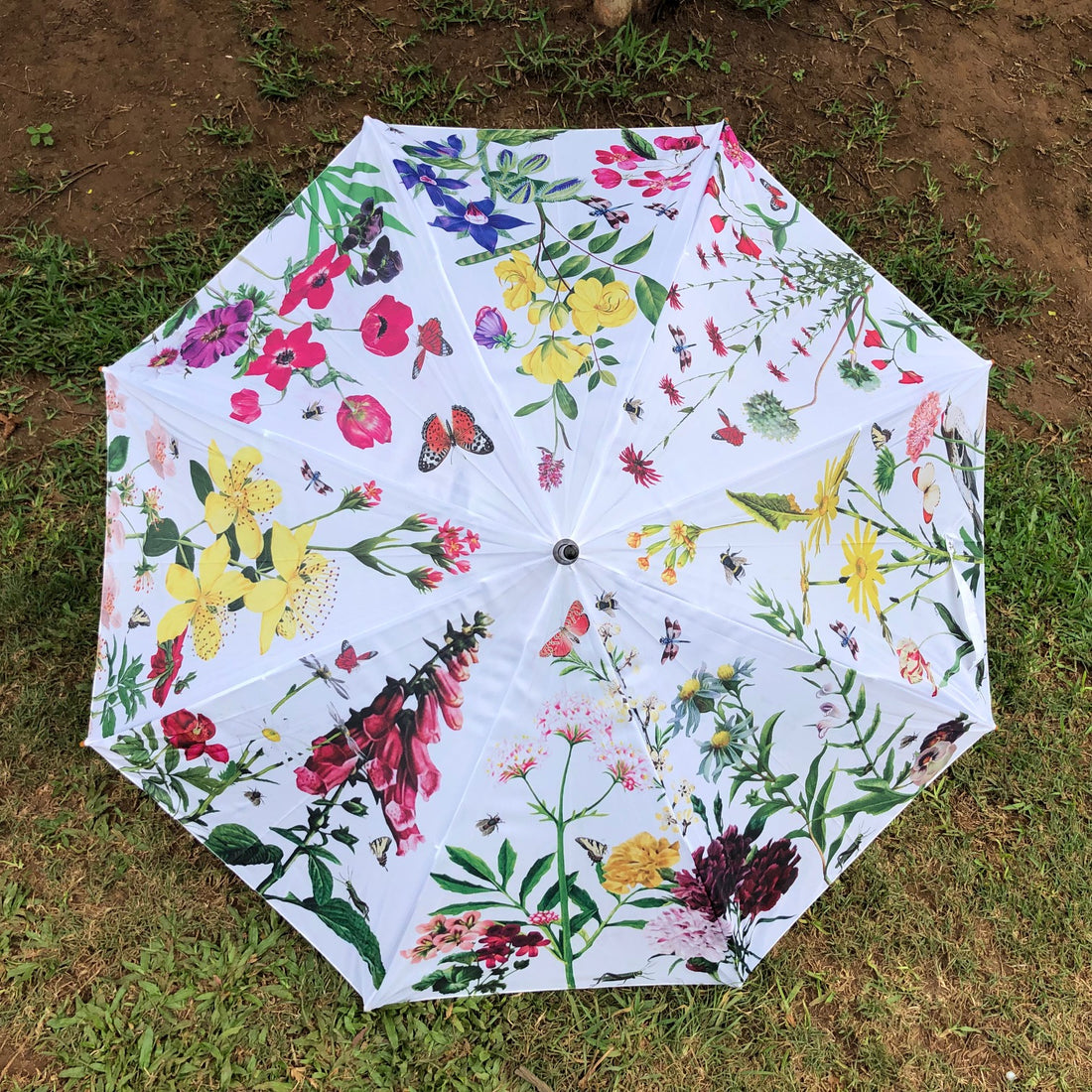 Umbrella - Summer