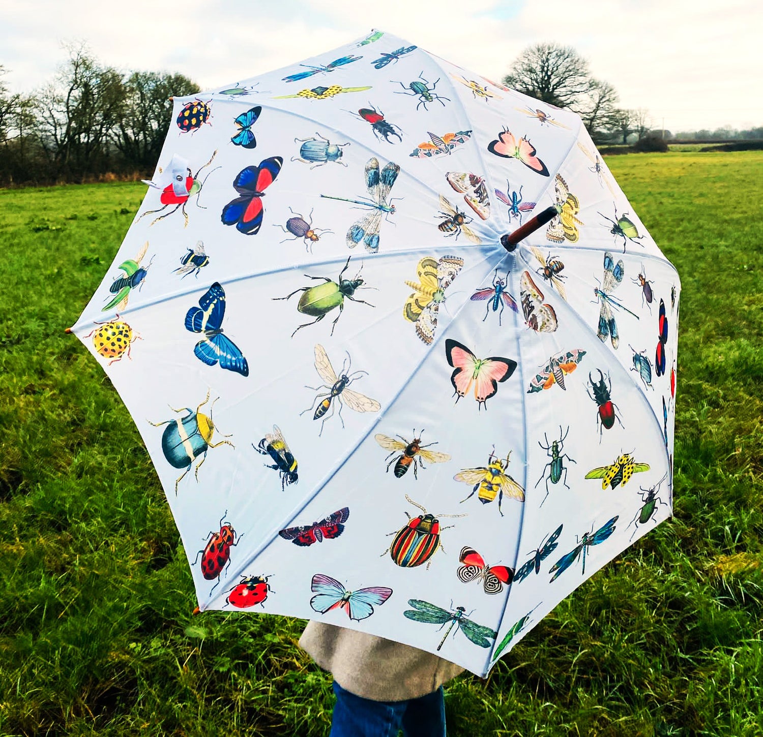 Umbrella - Bugs