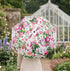 A person walking down a garden path holding a white umbrella with a vibrant pink and green floral print. The scene is set in a lush garden with pink roses, purple flowers, and a glass greenhouse in the background.