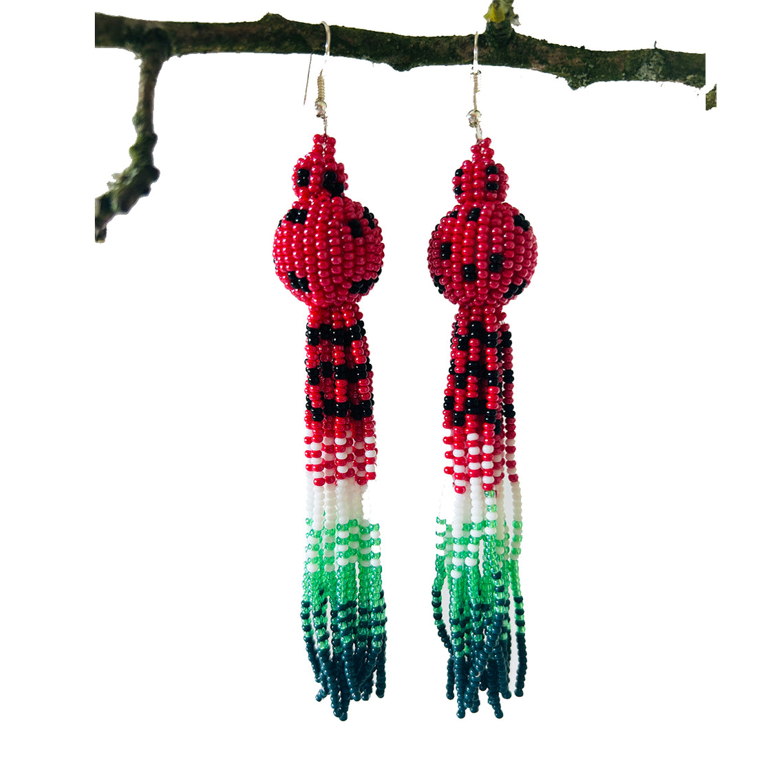 Watermelon Tassel Earrngs